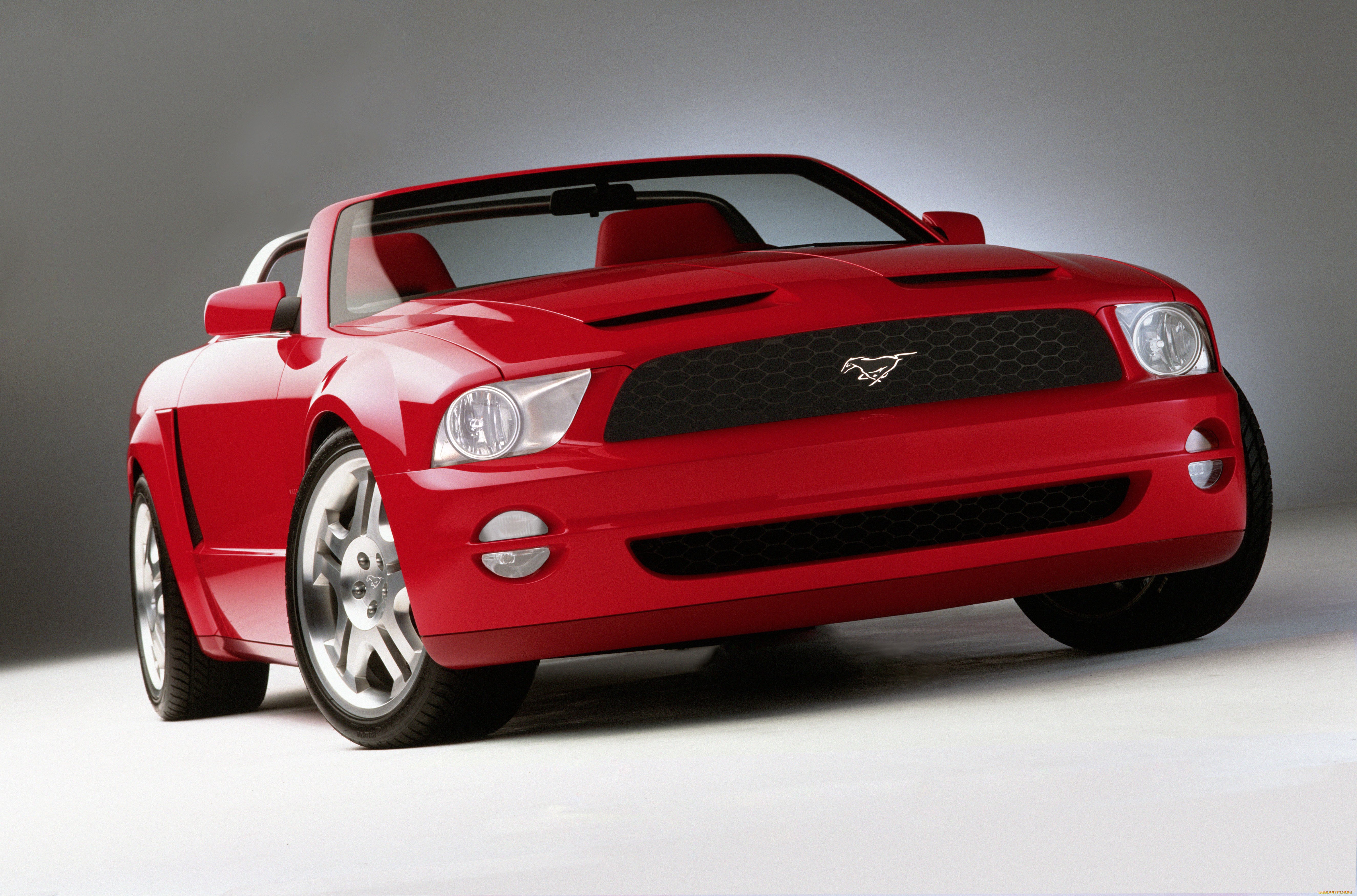 , mustang